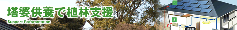 zd̋L^